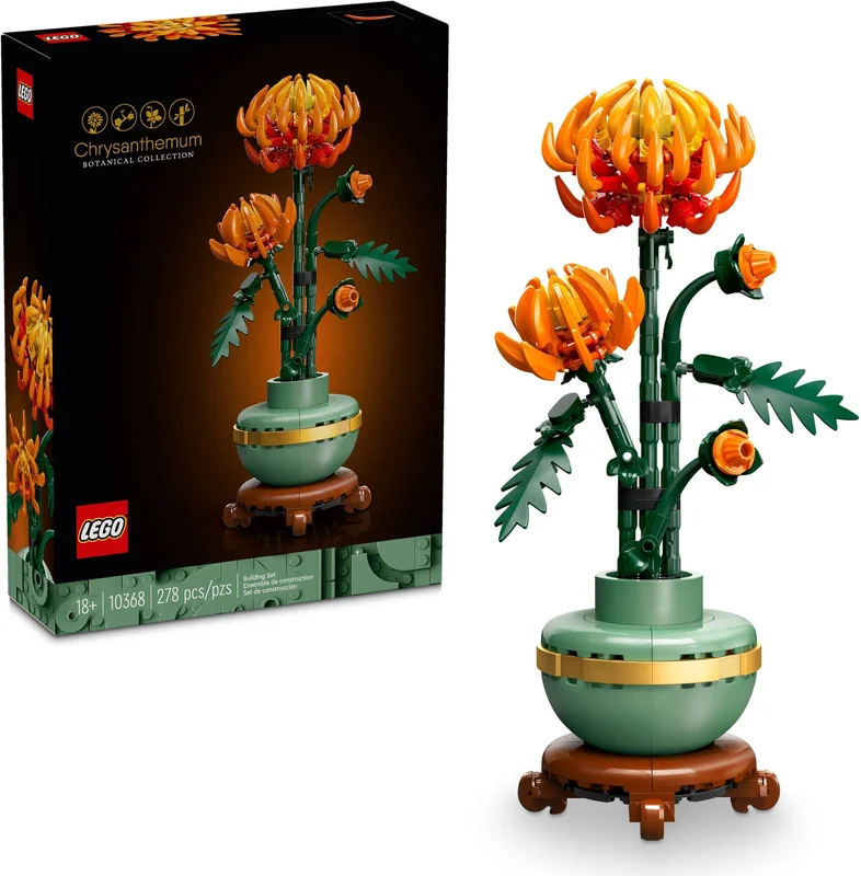 Chrysanthemum - View 4