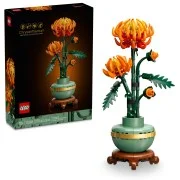 Chrysanthemum - View 4