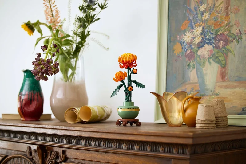 Chrysanthemum - View 7