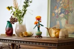 Chrysanthemum - View 7