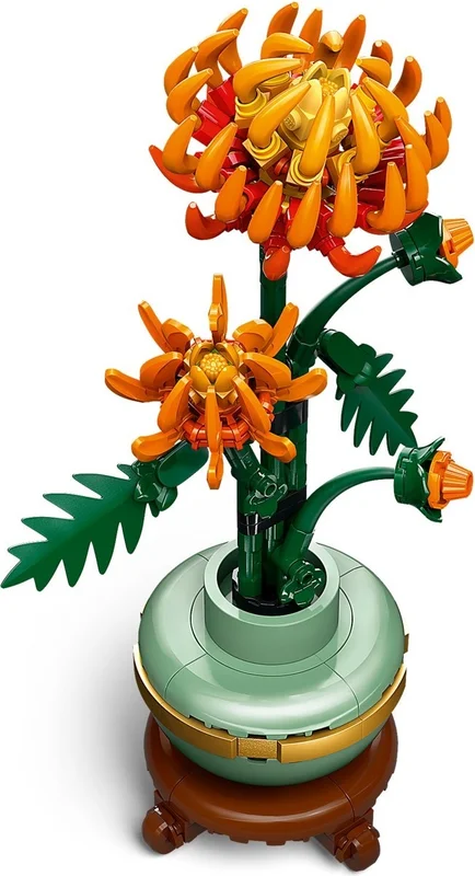 Chrysanthemum - View 8
