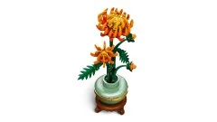 Chrysanthemum - View 8