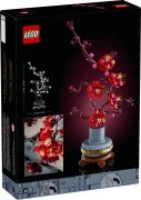 Plum Blossom - View 3