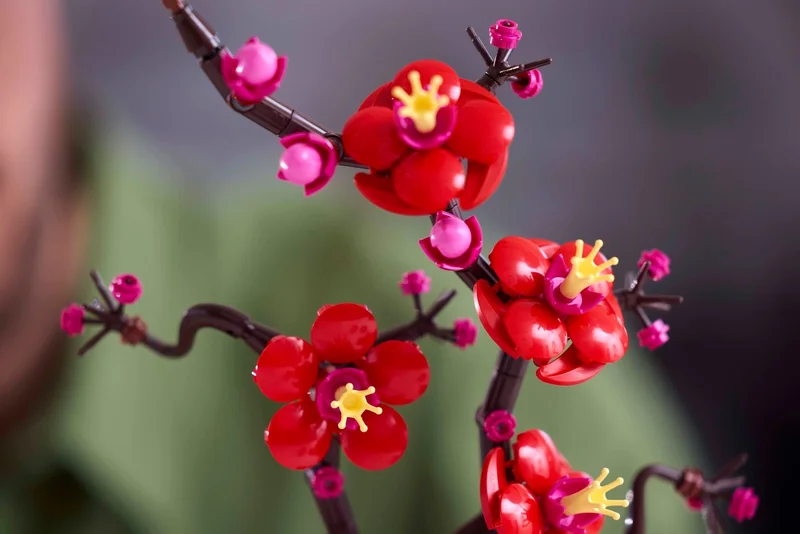 Plum Blossom - View 5