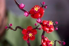 Plum Blossom - View 5