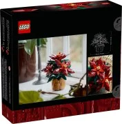 Poinsettia - View 3