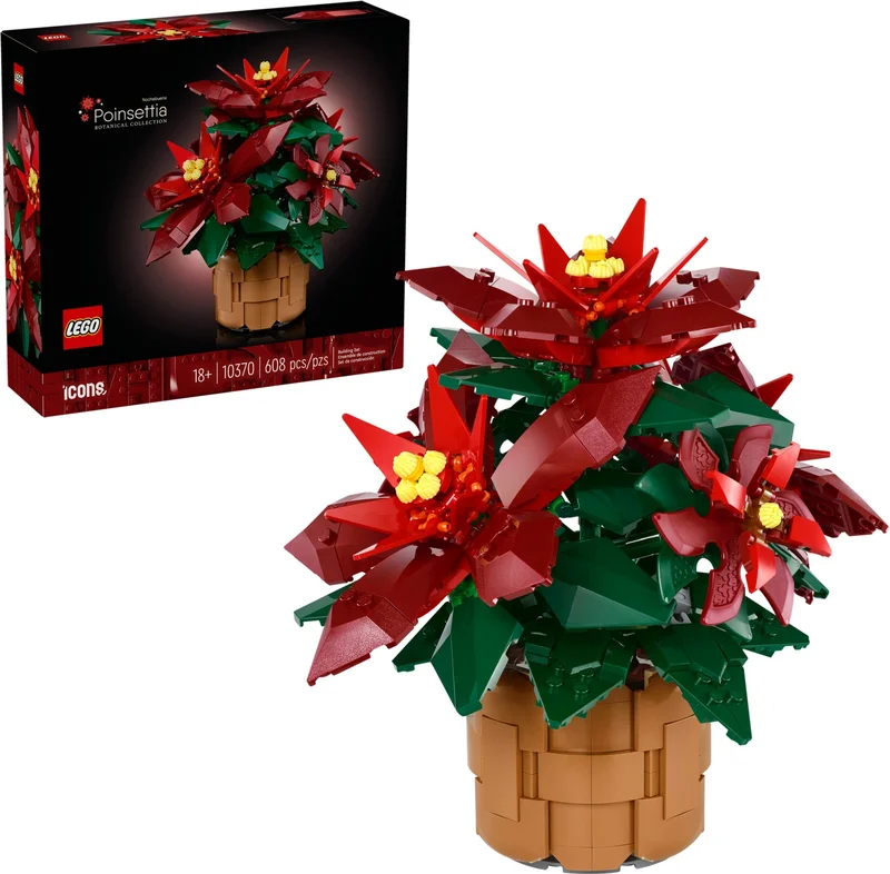 Poinsettia - View 4