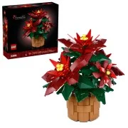 Poinsettia - View 4