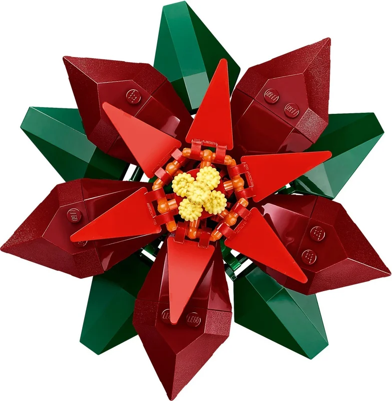 Poinsettia - View 7