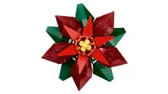 Poinsettia - View 7