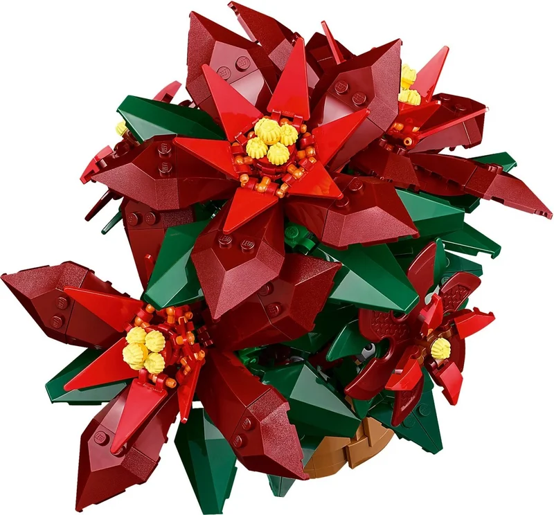 Poinsettia - View 8