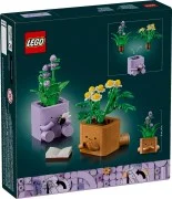 Cosy Plants - View 4