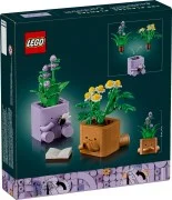 Cosy Plants - View 5