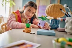 Cosy Plants - View 7