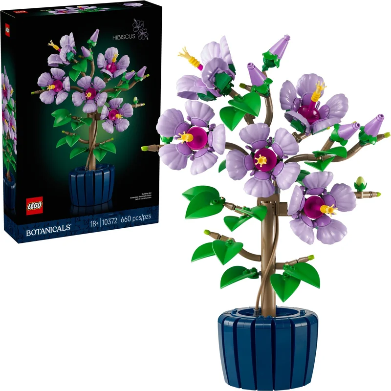 Hibiscus - View 4