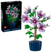 Hibiscus - View 4