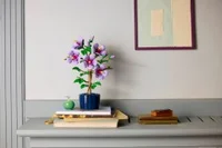 Hibiscus - View 8