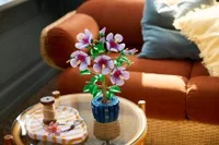 Hibiscus - View 9