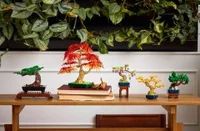 Mini Bonsai Trees - View 2