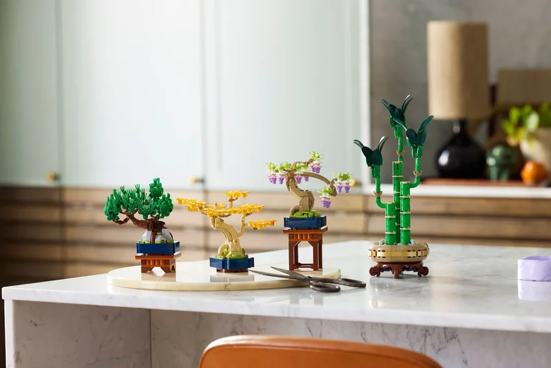 Mini Bonsai Trees - View 3