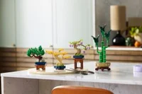 Mini Bonsai Trees - View 3