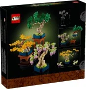 Mini Bonsai Trees - View 4