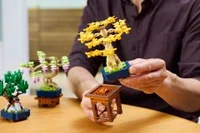 Mini Bonsai Trees - View 6