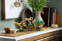 Mini Bonsai Trees - View 9