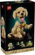 Golden Retriever Puppy - View 3