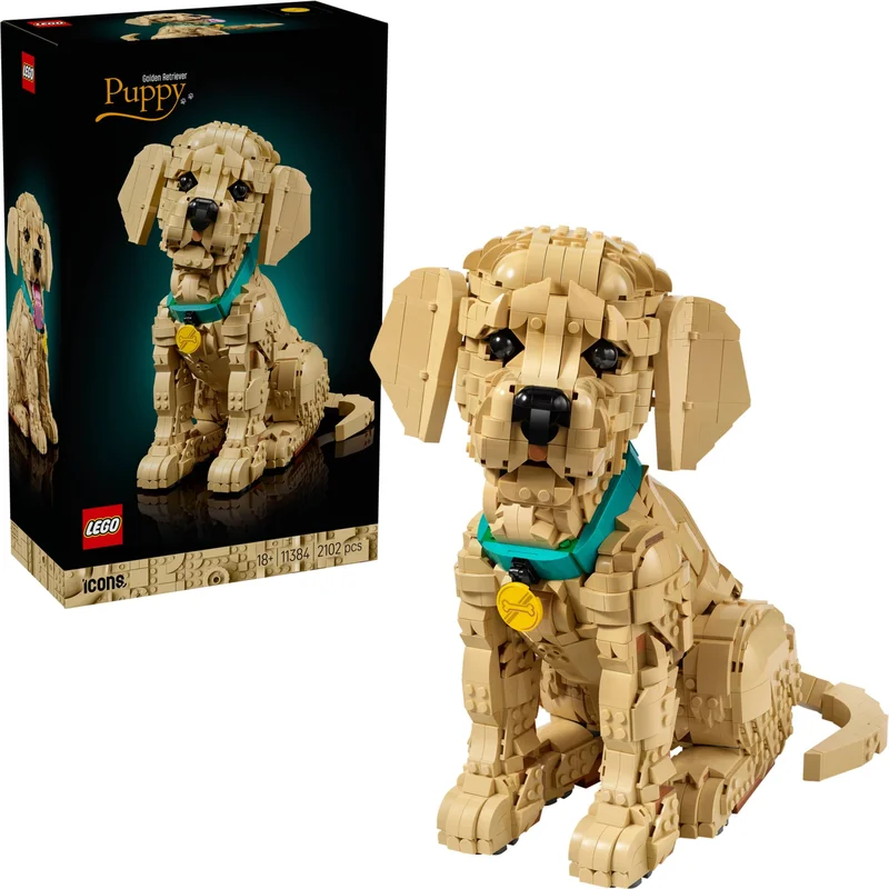 Golden Retriever Puppy - View 4