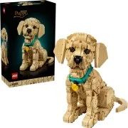 Golden Retriever Puppy - View 4