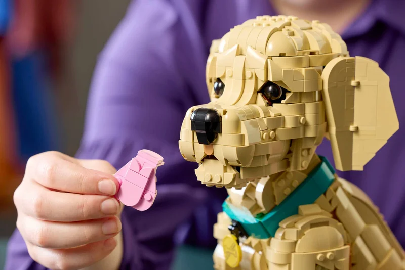 Golden Retriever Puppy - View 6