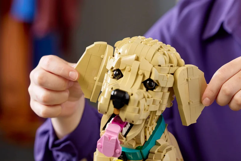 Golden Retriever Puppy - View 8