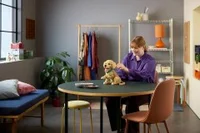 Golden Retriever Puppy - View 9
