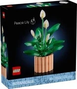 Peace Lily - View 2