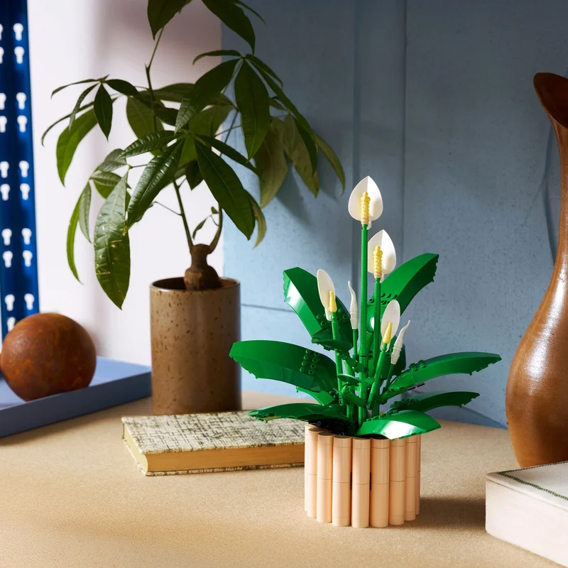 Peace Lily - View 4
