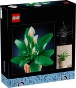 Peace Lily - View 6
