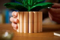 Peace Lily - View 7