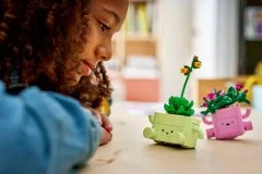 Rocking Plants - View 6