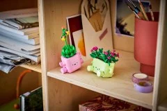 Rocking Plants - View 7