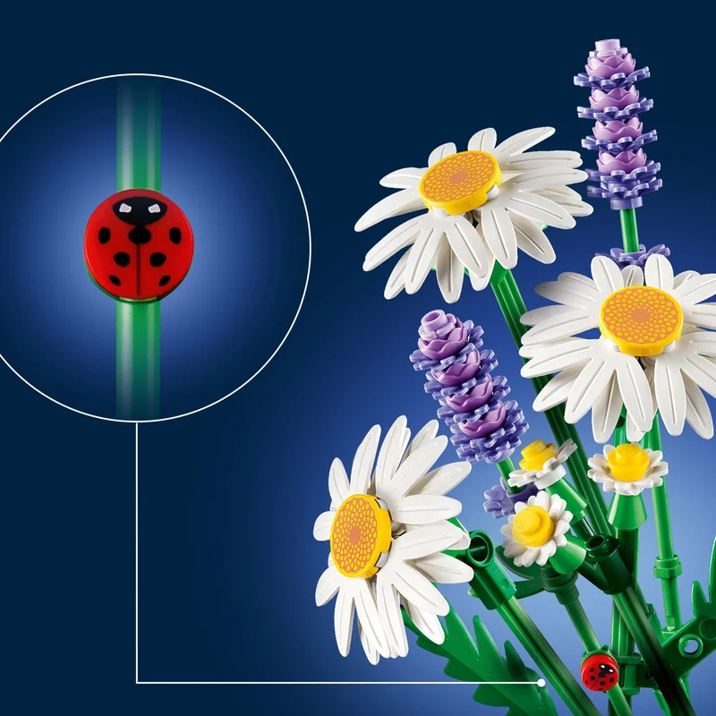 Daisies - View 2