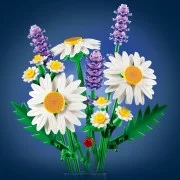 Daisies - View 4