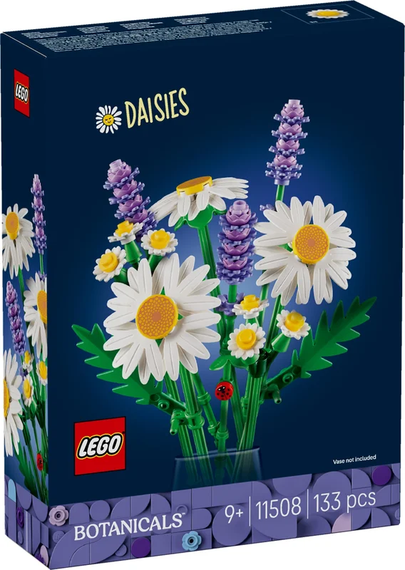 Daisies - View 5
