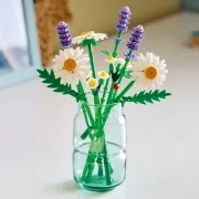 Daisies - View 6