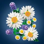 Daisies - View 7