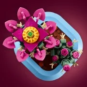 Flowering Cactus - View 2