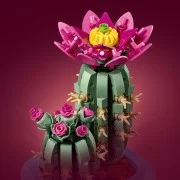 Flowering Cactus - View 4