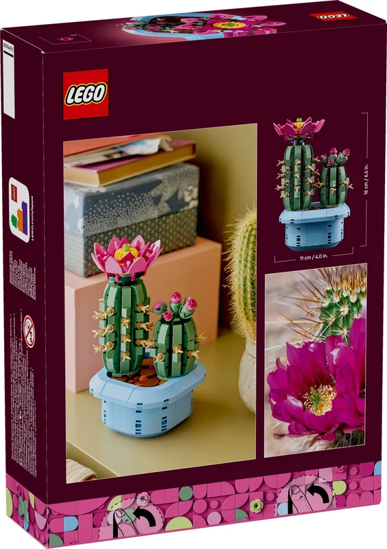 Flowering Cactus - View 5
