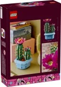 Flowering Cactus - View 5