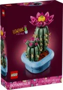 Flowering Cactus - View 6